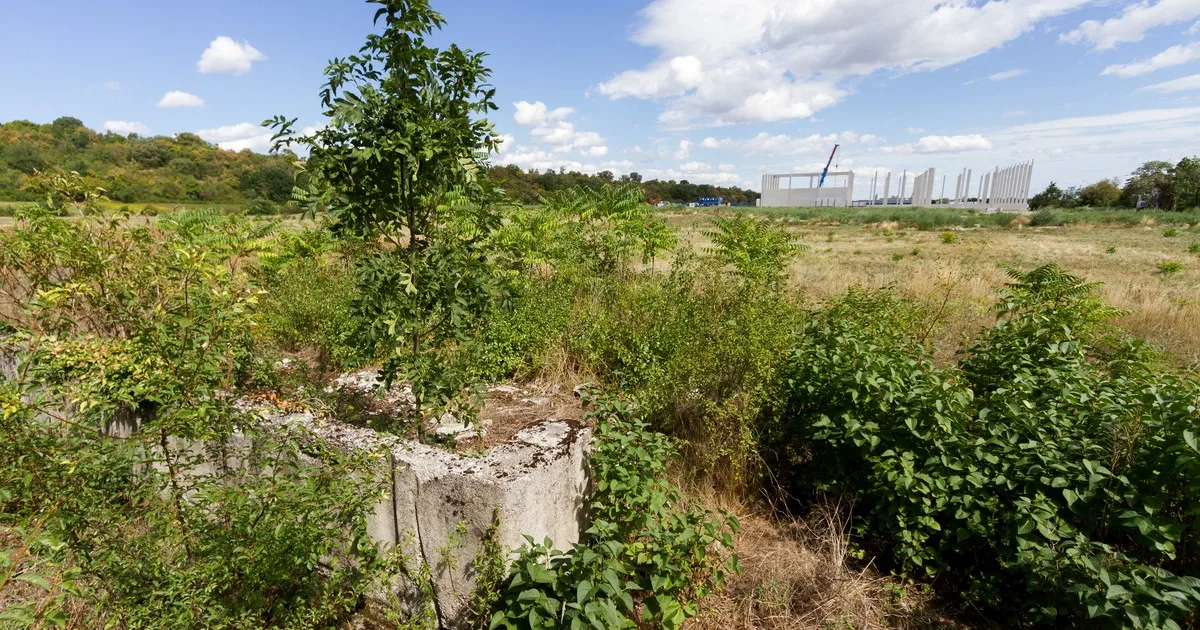 Indignación en Austria por la construcción de un centro comercial en un antiguo campo de concentración nazi