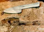 Forget stone tools! Neanderthals were master woodworkers who crafted spears, trays and even tripods, scientists discover