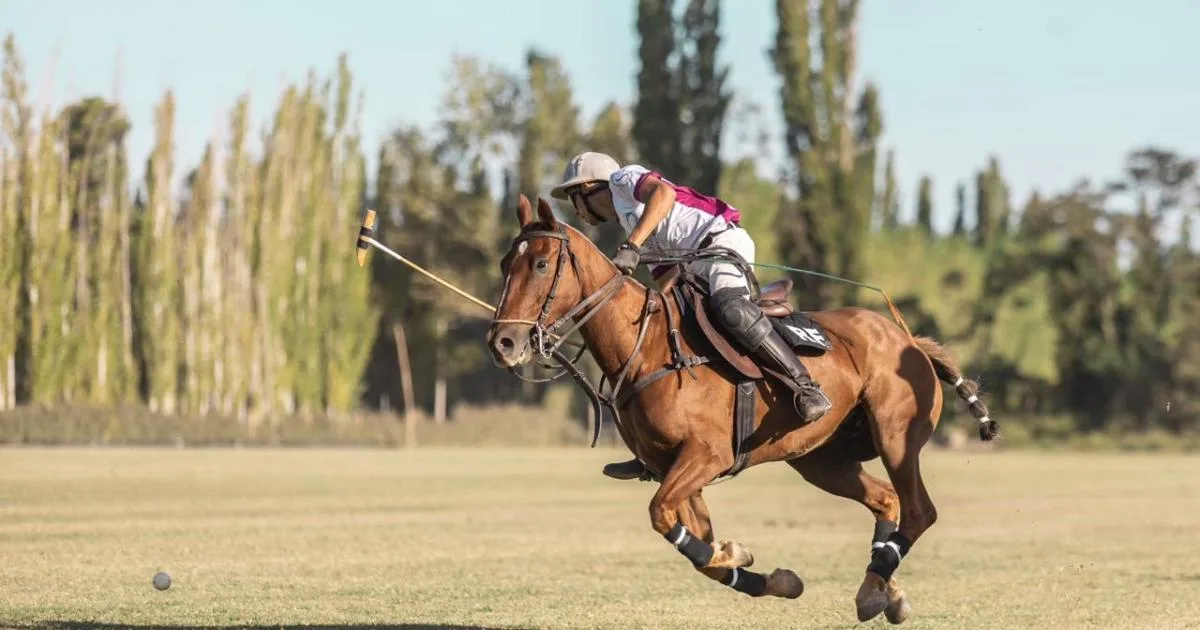 Mitos y verdades del polo: 10 curiosidades de un deporte que gana adeptos en la Patagonia