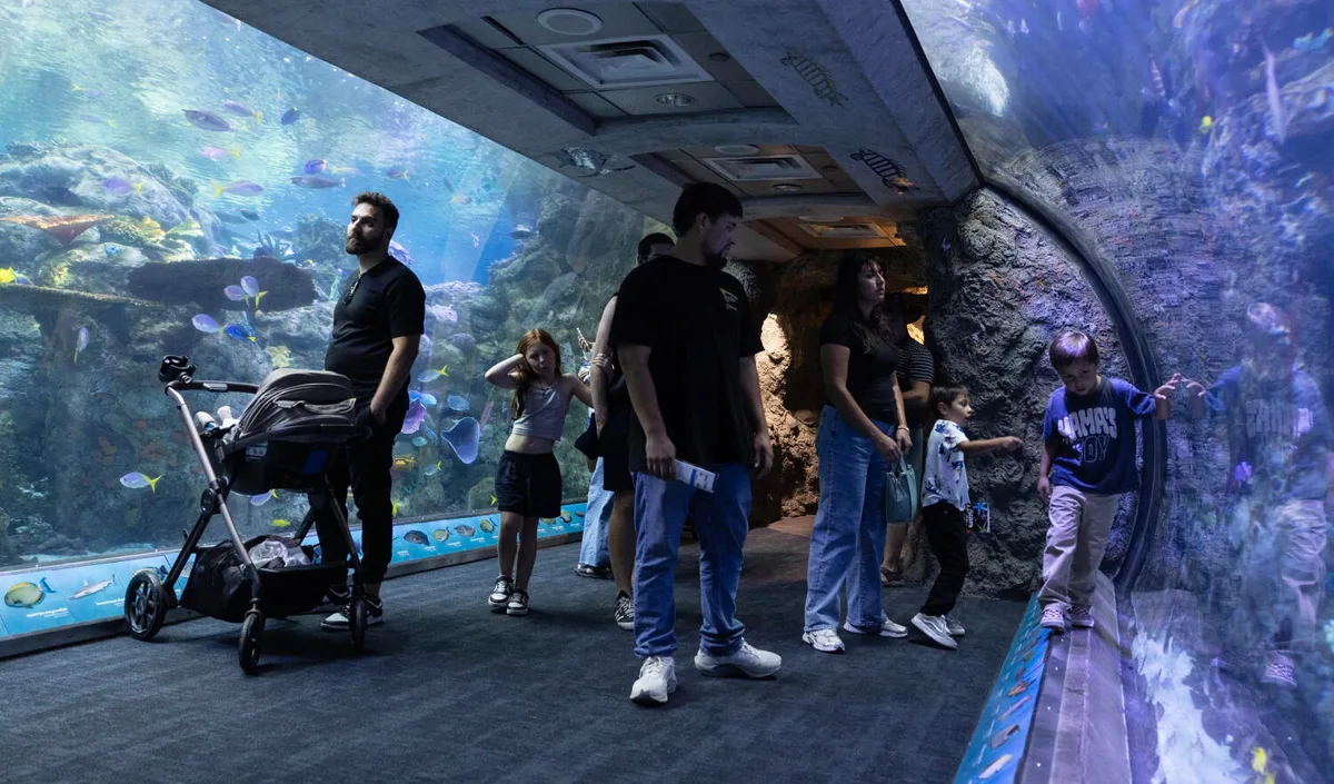 Long Beach aquarium takes in at least 500 animals rescued from wildlife traffickers