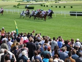 Courses hippiques : un projet de France Galop rebat les cartes des hippodromes en Maine-et-Loire