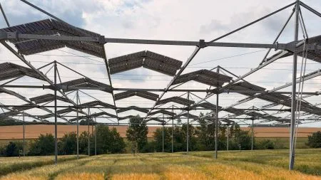 Pflanzen ertragen Verschattung durch Agri-PV-Anlagen besser als angenommen