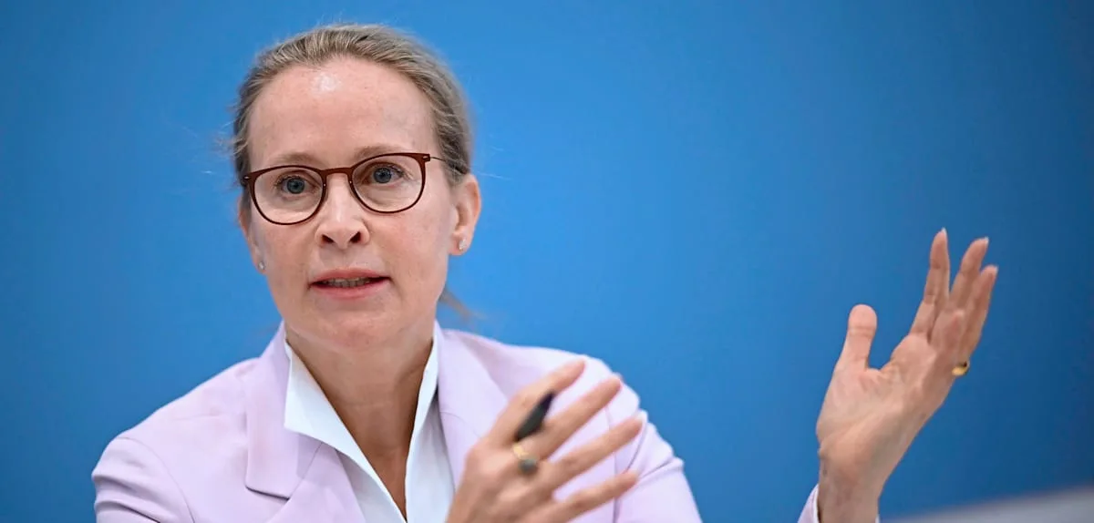 „Es ging auch darum, einen Keil in die Regierung zu treiben“, sagt Brosius-Gersdorf nach Scheitern