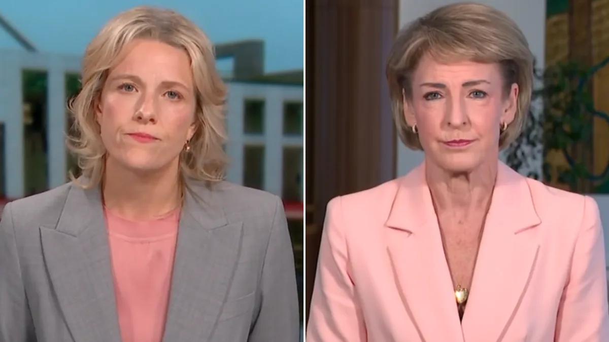Opposition tears into Labor’s proposed tax changes as small businesses face potential shake-up
