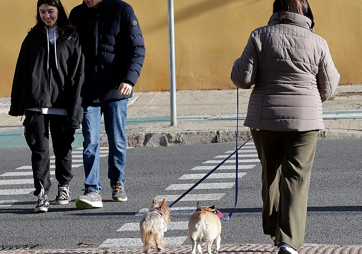 Sevilla tiene un perro o gato por cada cuatro habitantes
