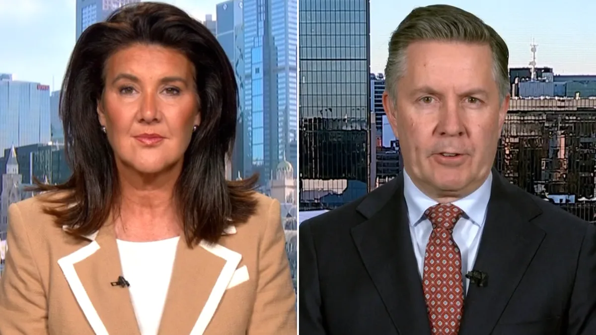 ‘You can’t have it both ways’: Jane Hume hits out at Labor as Mark Butler defends sweeping migration changes