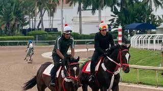 Dos hijos del campeón King Seraf se alistan para debutar en Estados Unidos