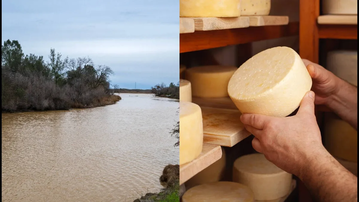 California ranch donation leads to 220-acre San Joaquin floodplain restoration