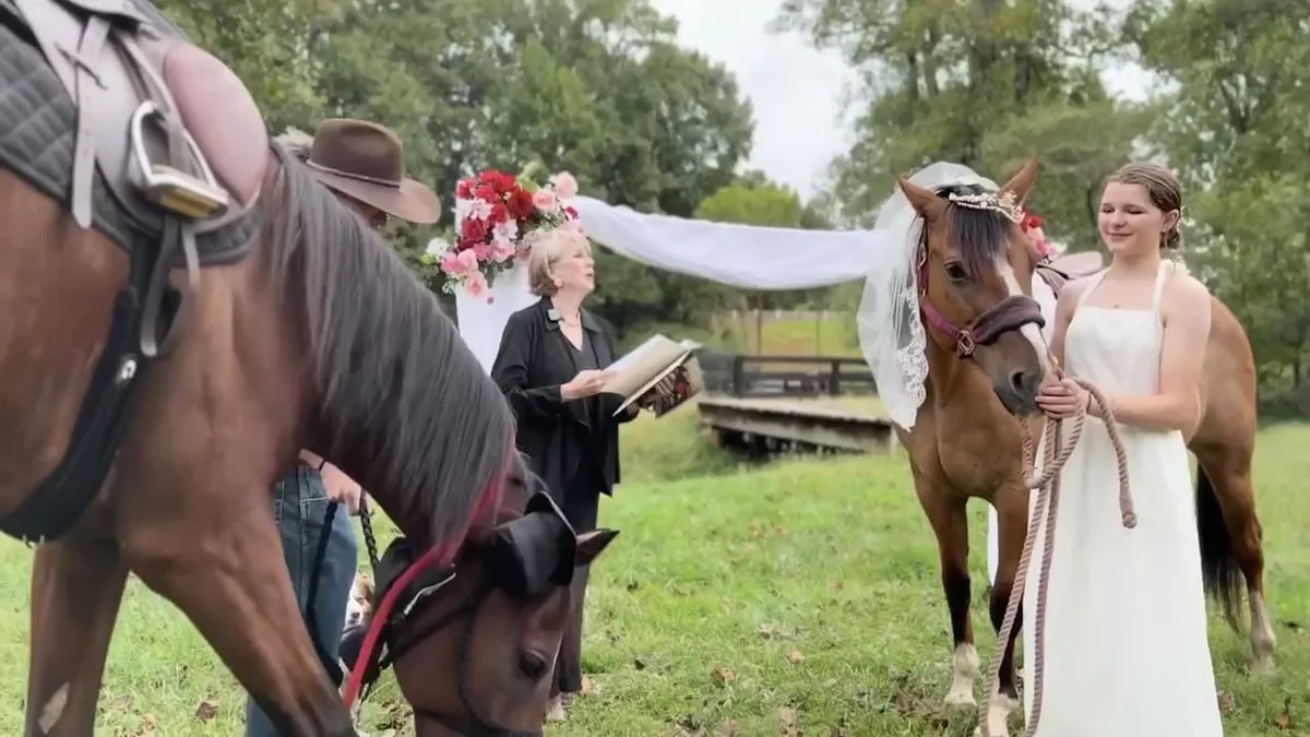 Kein Scherz! - Hier heiraten zwei Pferde