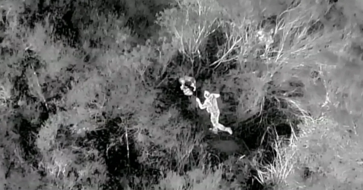 How drones are revolutionizing the search for lost pets