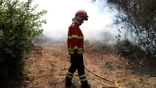 Cerca de 2.000 hectares de área ardida no Parque Natural de Montesinho
