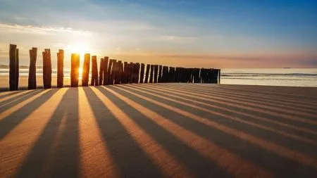 Die Natur der Dinge: Die Galeriebilder der Woche 33