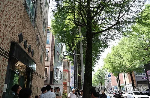 낙우송 뿌리에 보도 들림…전주 서곡3·4길 가로수 맞춤 정비