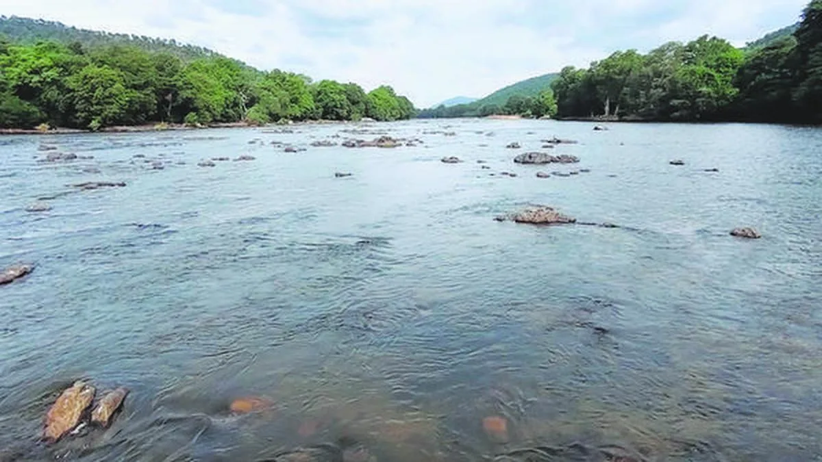Tamil Nadu seeks ‘proportionate’ Cauvery water, Supreme Court advises State to take it up with CWMA