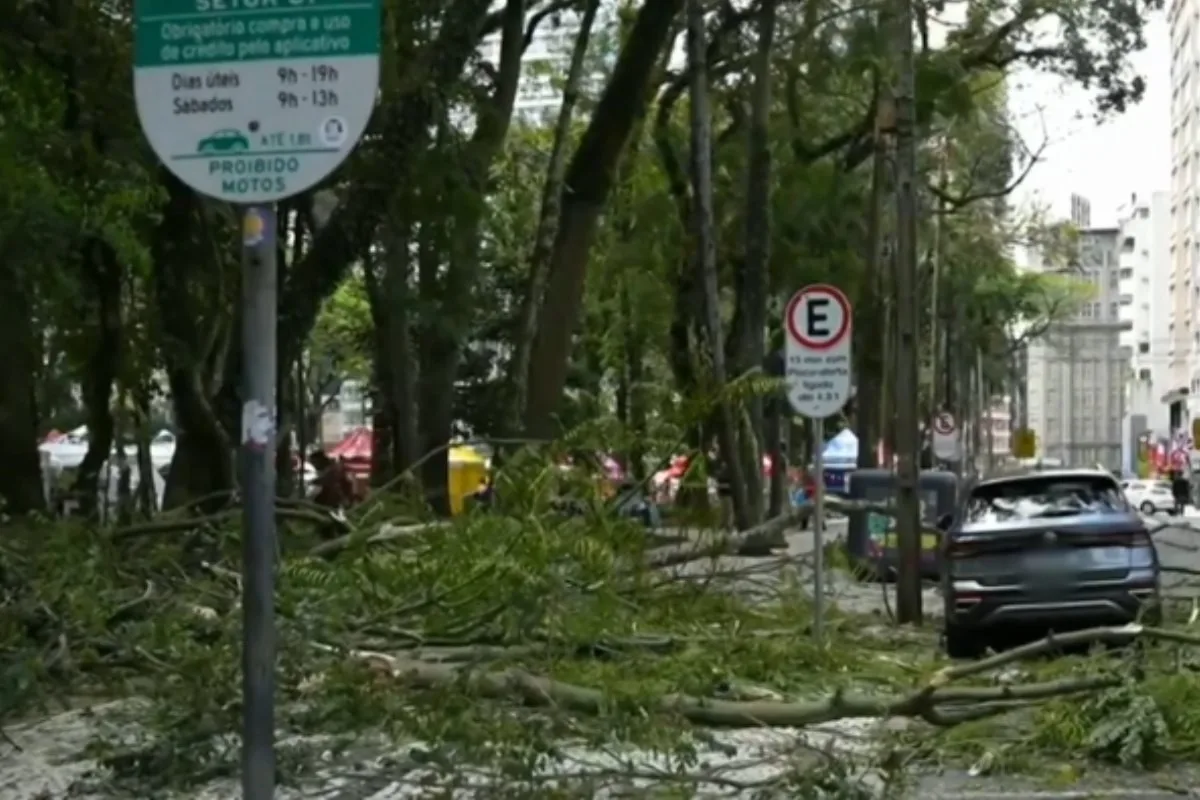 Quatro meses após jovem ficar paraplégica, queda de novo galho deixa mulher ferida e atinge carro na Praça Osório, em Curitiba