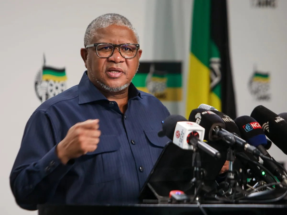 READER LETTER | Mbalula conceding ANC failure