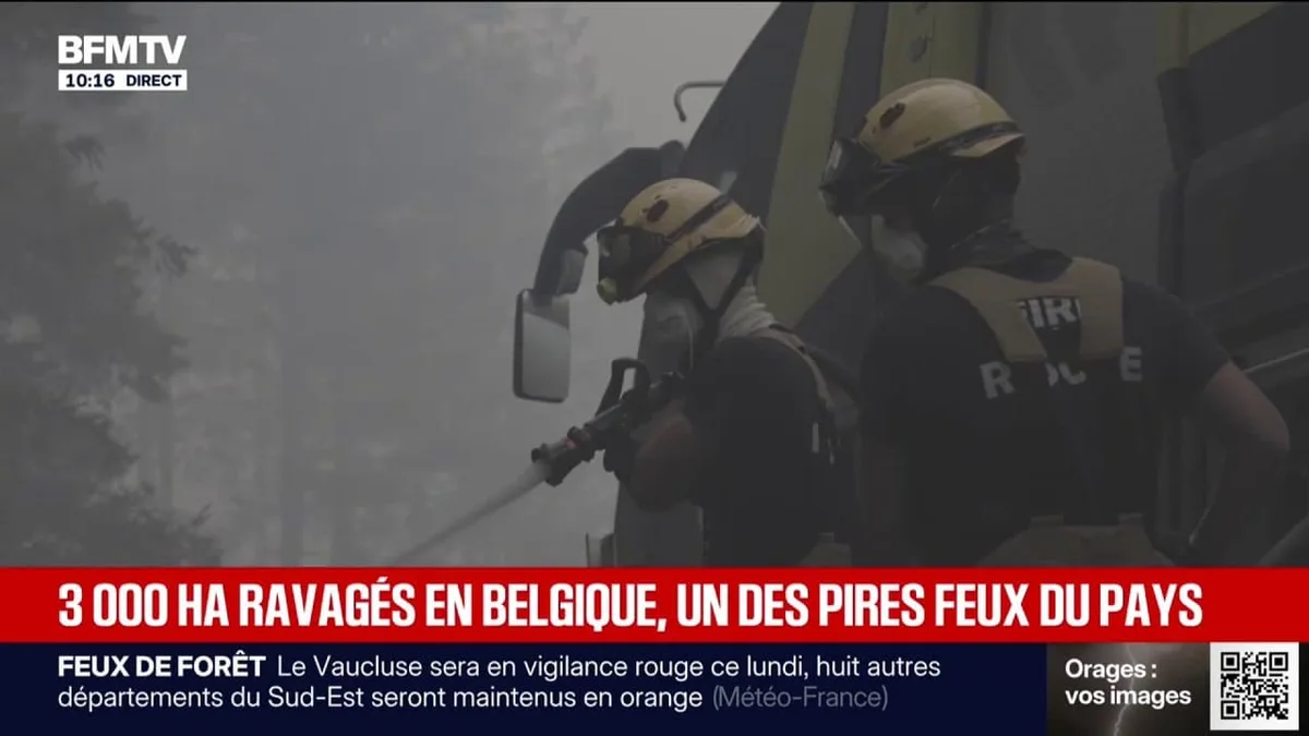 Belgique: 3.000 hectares ravagés, l'un des pires incendies de son histoire