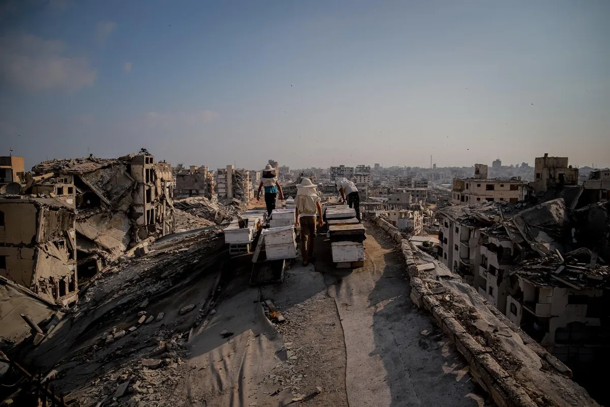 Al menos siete muertos, incluido un menor, y más de diez heridos en un ataque de Israel en la ciudad de Gaza