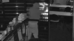 Police hunt trio who stole valuable Pokemon collectables in Queensland