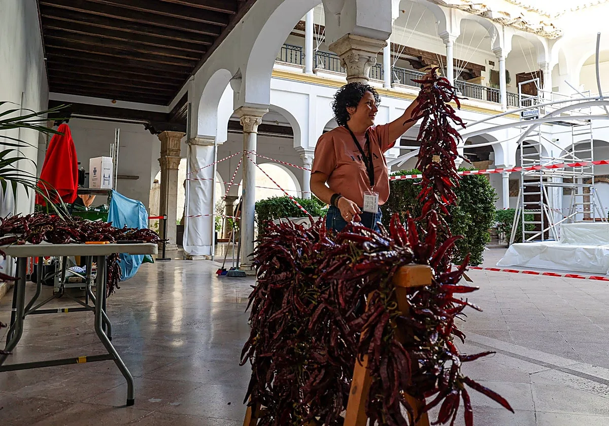 Flora Córdoba 2026: así es la instalación de Taller Banegas en el patio del Museo Arqueológico de Córdoba