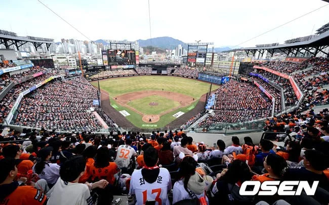 암표 걸리면 ‘판매액 50배’ 과징금…그러자 “선수 사진 12만원, 야구표 2장은 덤” 기상천외 꼼수 등장