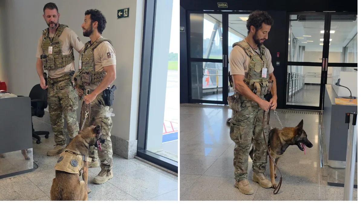 Aeroporto de Vitória cria área especial para voo internacional com cadela da PF