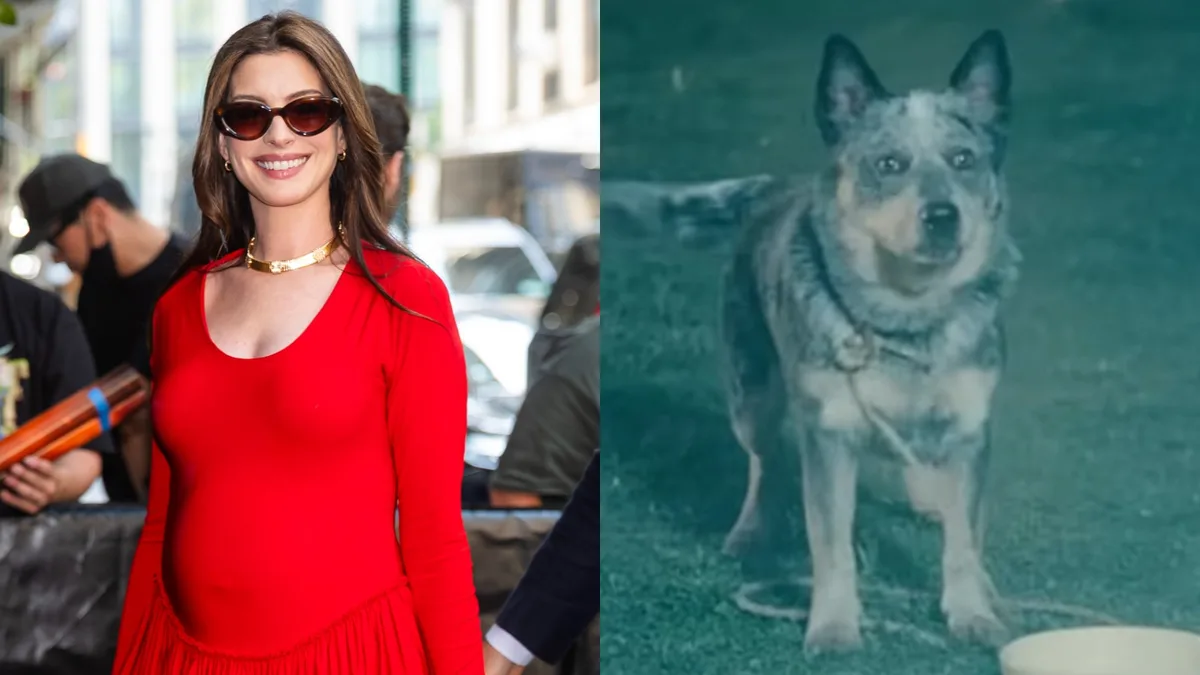 O Fim da Rua: Cachorro morre no filme? Anne Hathaway responde a questionamento dos fãs O Fim da Rua: Cachorro morre no filme? Anne Hathaway responde a questionamento dos fãs