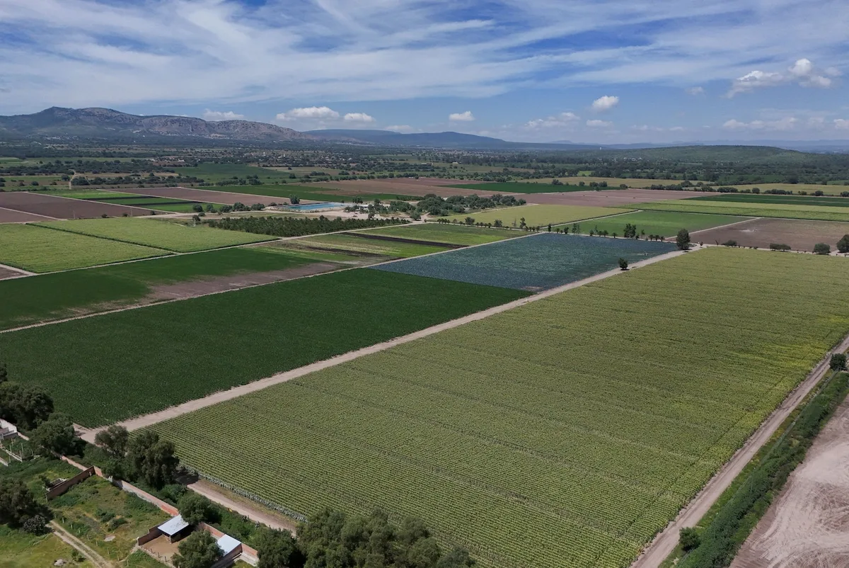 FDA travels to Mexico a month after linking Taylor Farms to cyclospora outbreak