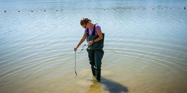 Dans les lacs et rivières de France, les proliférations de cyanobactéries empêchent la baignade : « On pensait pouvoir au moins tremper les pieds, mais c’est interdit »