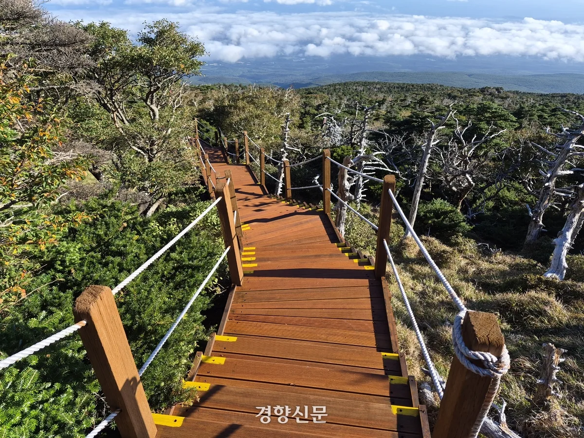 한라산 관음사 탐방로 24일 재개방··· 탐방 예약 21일 재개