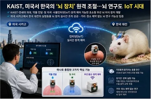 미국서 한국에 있는 '뇌 장치' 조절…KAIST "뇌연구도 IoT 시대"