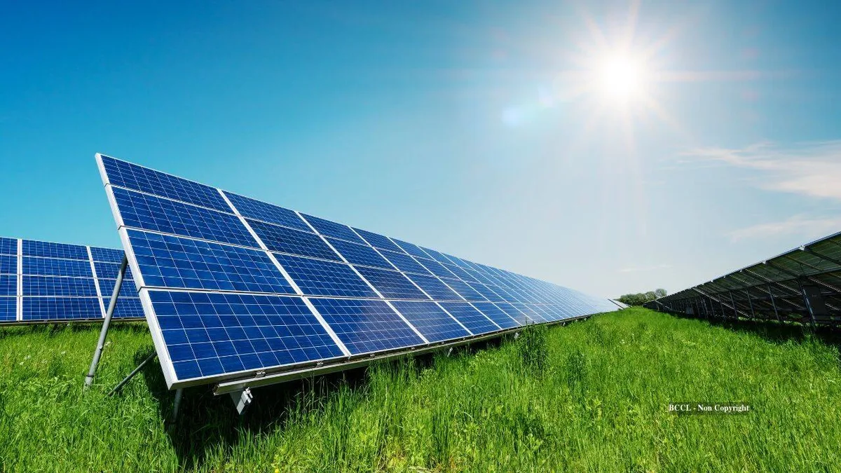 California farm makes 10x more leasing land for solar than wheat