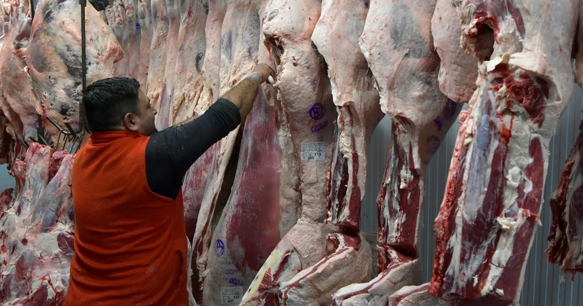 Las exportaciones de carne crecieron 42 por ciento en valor en los primeros siete meses del año