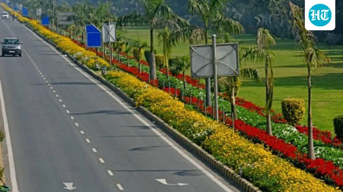 4.67 lakh tulips to bloom in NDMC, DDA parks; MCD gardens to miss out again