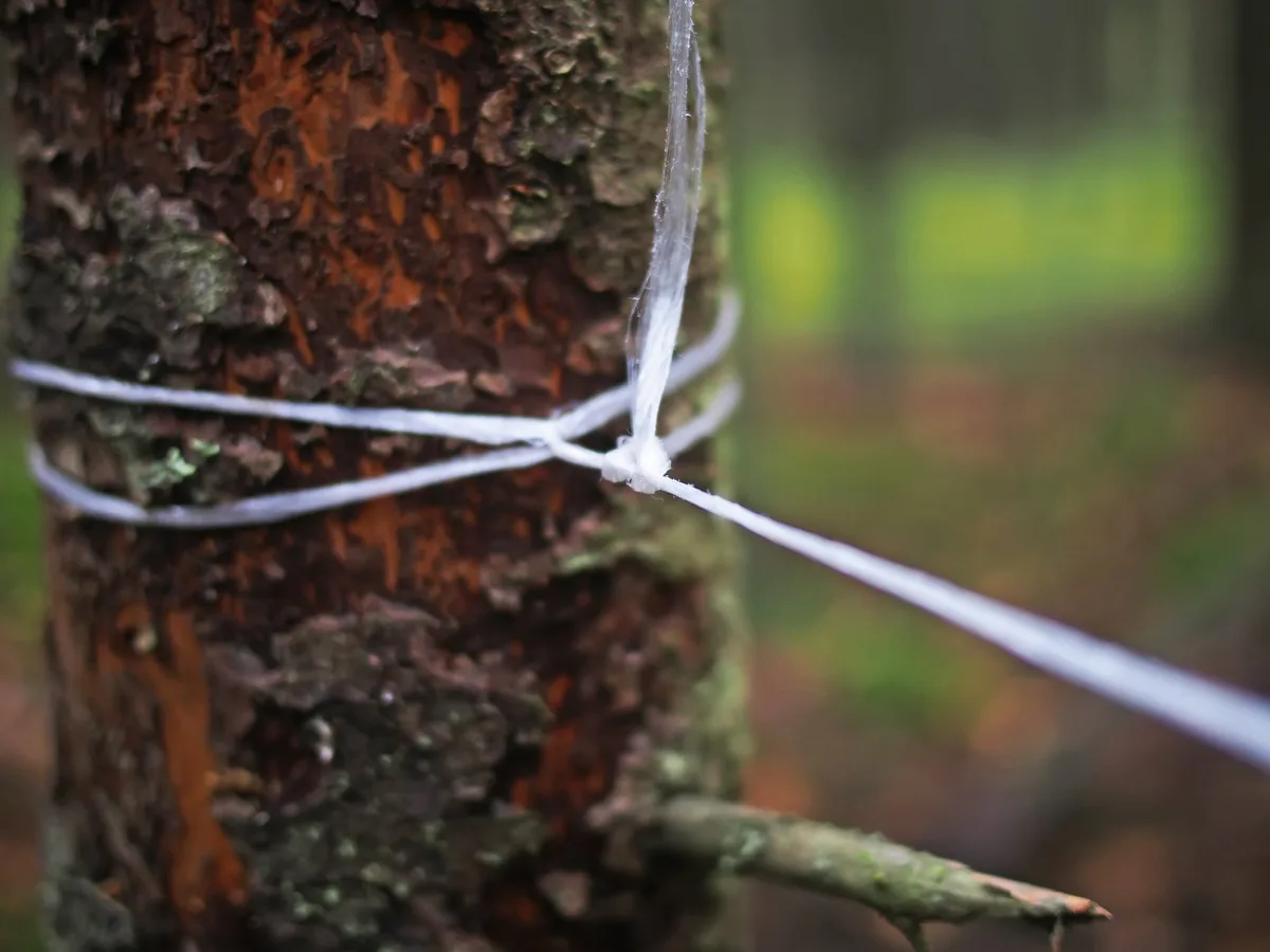 Bushmeat poaching: When the wildlife disappears, tourists will too