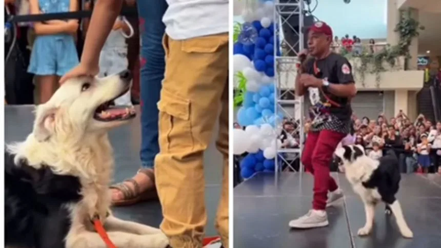 El sentido homenaje que le rindieron a Tsunami en Margarita