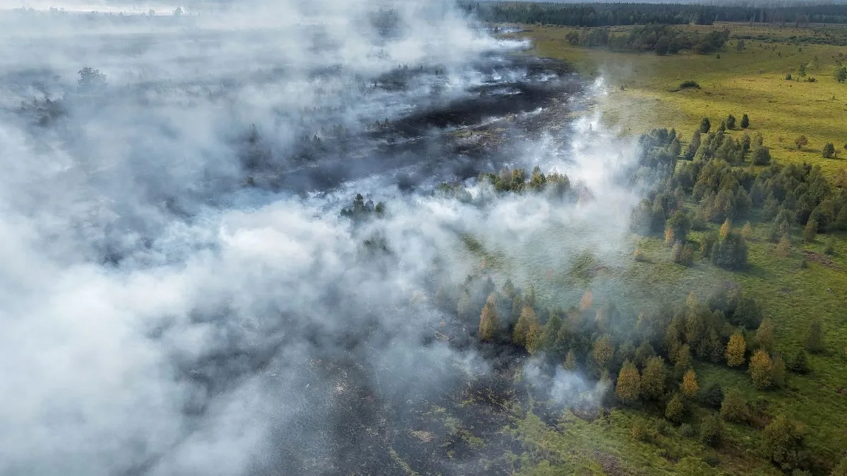 Brand im Hohen Venn und Wetter: Wind in Eifel am Brandgebiet stärker - Geruch bis Köln