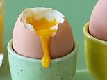 It's not 'just' food poisoning: Experts reveal terrifying risks of salmonella and how to stay safe ...amid major UK outbreak linked to imported eggs and chicken