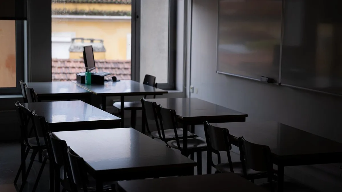 Moscas cancelam aulas em sete escolas de Vagos