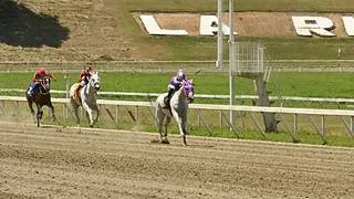 Miren este ajuste antes de dar por ganador a Gran Manuel en la séptima de La Rinconada