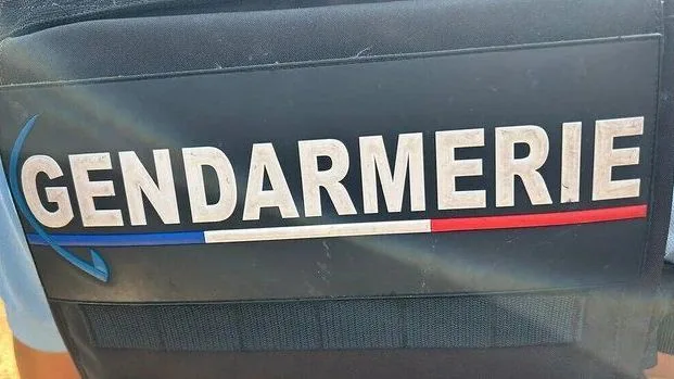 L'octogénaire fauchée par une voiture jeudi en Charente a été tuée par son fils schizophrène, interpellé en Dordogne