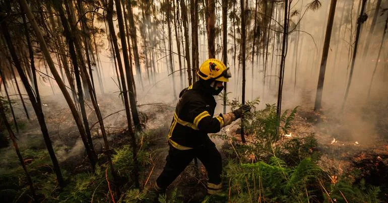 Quase 100 operacionais combatem fogo no concelho de Beja