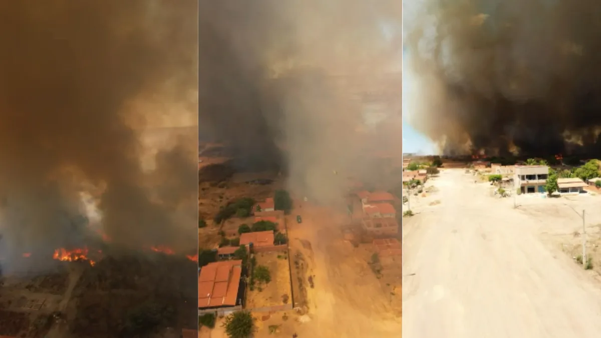 Incêndio em área de vegetação ameaça casas em cidade no Piauí