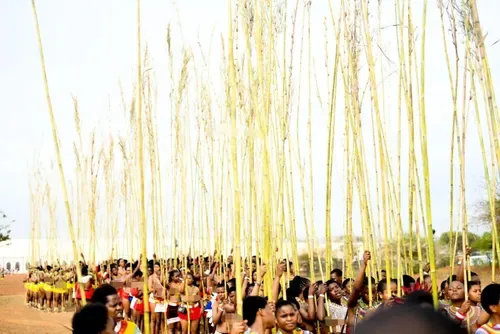 PHOTO ESSAY | Traditional pride and lifelong vows kick off KZN's reed dance