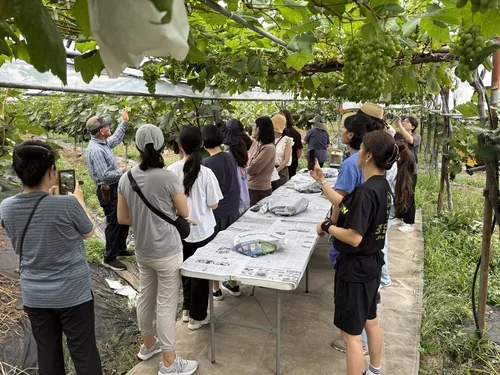 춘천 먹거리직매장 매출 12% 증가…농가 체험으로 소비 확산