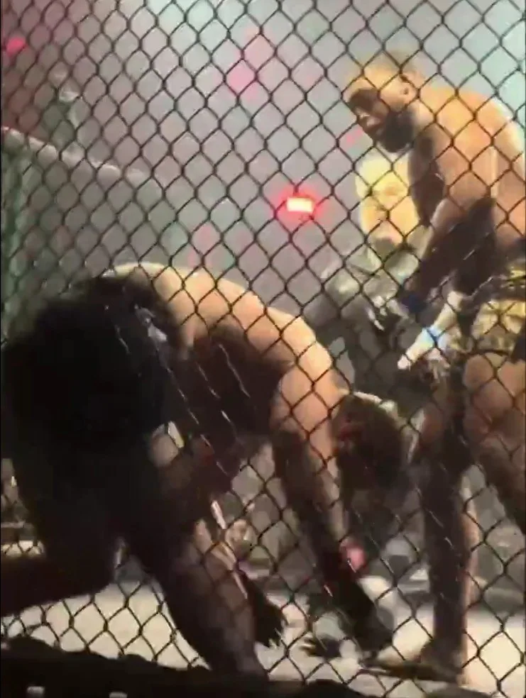 Filho de ex-campeão do UFC sofre nocaute brutal em luta amadora de MMA; assista