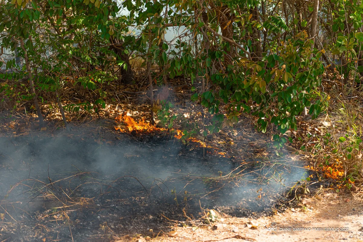 Governo suspende autorizações para queimadas por 15 dias após alta nos focos de calor em Roraima