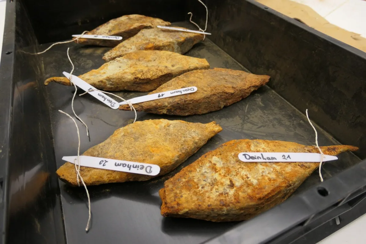 A Massive, 2,000-Year-Old Iron Haul Could Rewrite What We Know About Ancient Trade