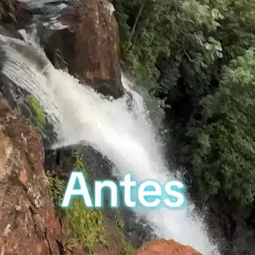 Símbolo da Cachoeira do Inferninho, figueira é arrastada pela força da água