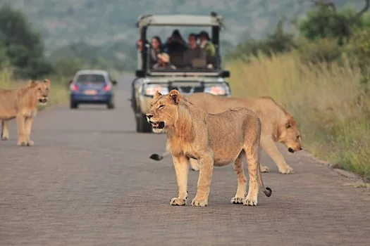 Tourist numbers to South Africa surge 17% in July